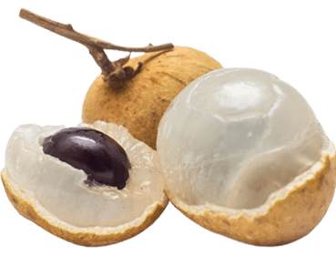 Kelengkeng