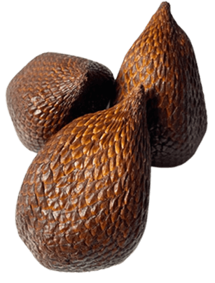 Salak