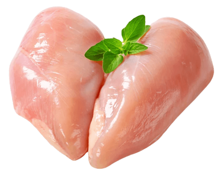Ayam