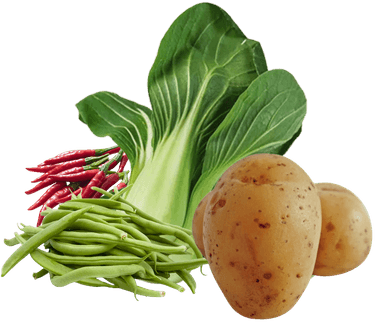 Sayur Organik