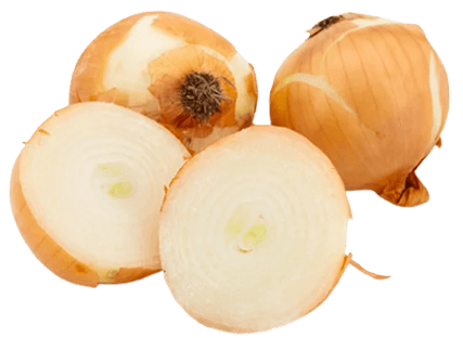 Bawang Bombai