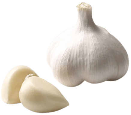 Bawang Putih
