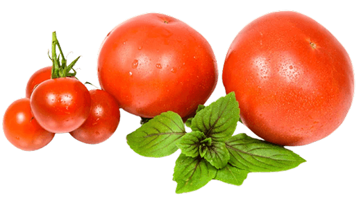 Tomat